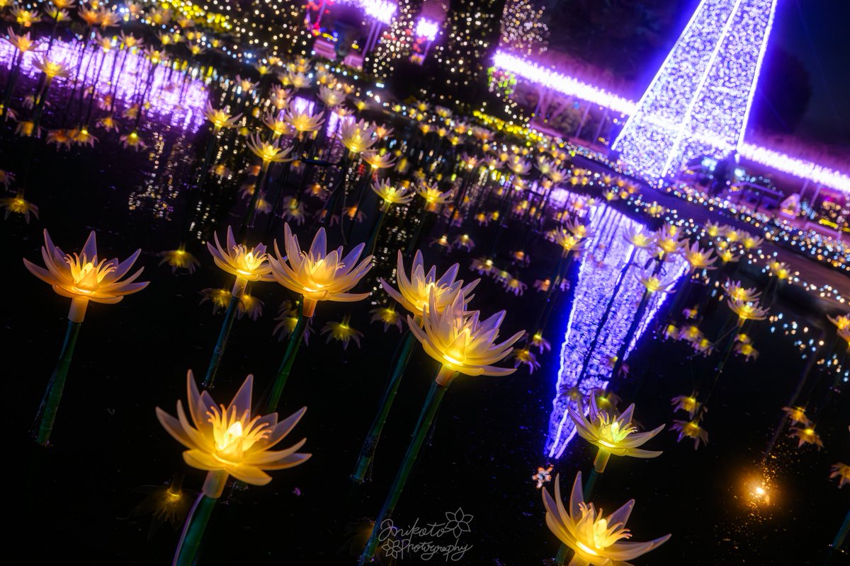 ð·ïŒððð ð€ð£ â€9 lensïŒNIKKOR â€24-70mm f/2.8 S II æ®åœ±å°ïŒç¥å¥å· ð·ïŒððð ð€ð£ â€9 lensïŒNIKKOR â€24-70mm f/2.8 S II æ®åœ±å°ïŒç¥å¥å·