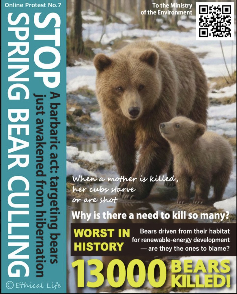 SpeakForKuma's tweet photo. The future of bears is in our hands.
Let’s return the water-source forests to them!
#ProtectTheBear
#STOPTrophyHunting https://t.co/FDMpikzxrS