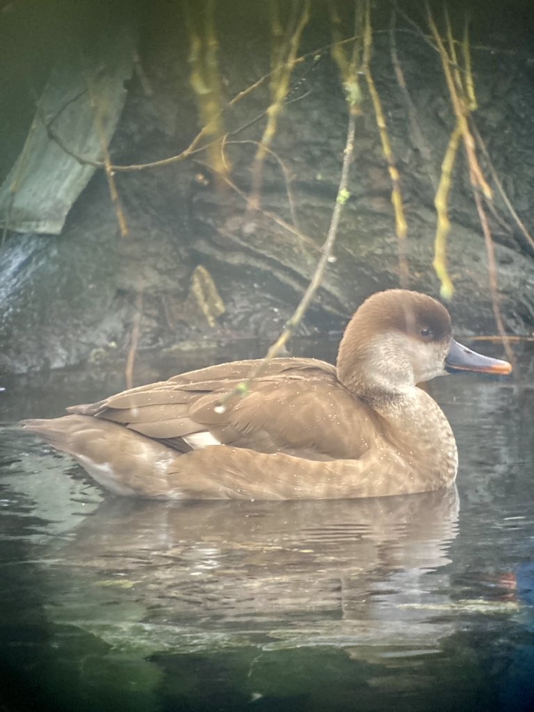 Mark Bailey tweet media