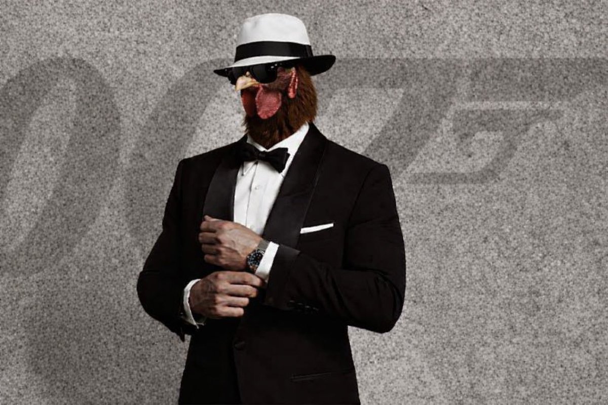 <a href="/payel59011/">✟SΗΛLLΨ✟ 🥷</a> <a href="/100xAltcoinGems/">100x Altcoin Gems</a> <a href="/ferociteronsol/">Gradatim Ferociter</a> $chicken That’s the alpha right there ! <a href="/chicken_cto/">Chicken</a> 

Ca: B7ToiJNkQoFaPgRLZmEgvT9xZb9HLdVdKuNSBqospump