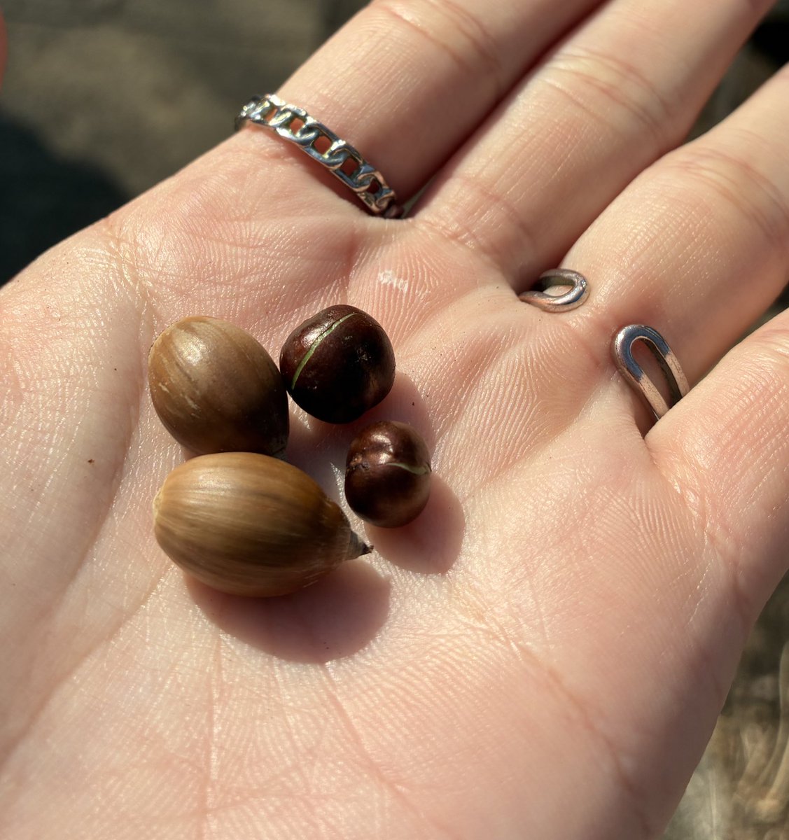 泡沫ちなつ tweet media