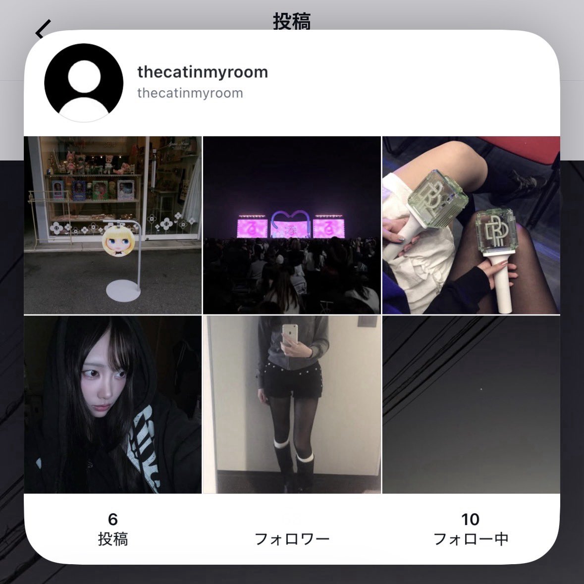 지금 인스타 분위기 딱 내스타일이라 좋아😽