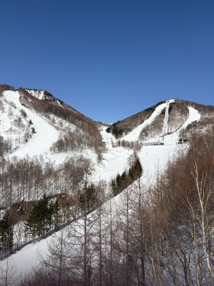 __nanacoo_'s tweet photo. スノボ行ってきた🏂•*¨*•.¸¸ https://t.co/X9ONv5nmlO