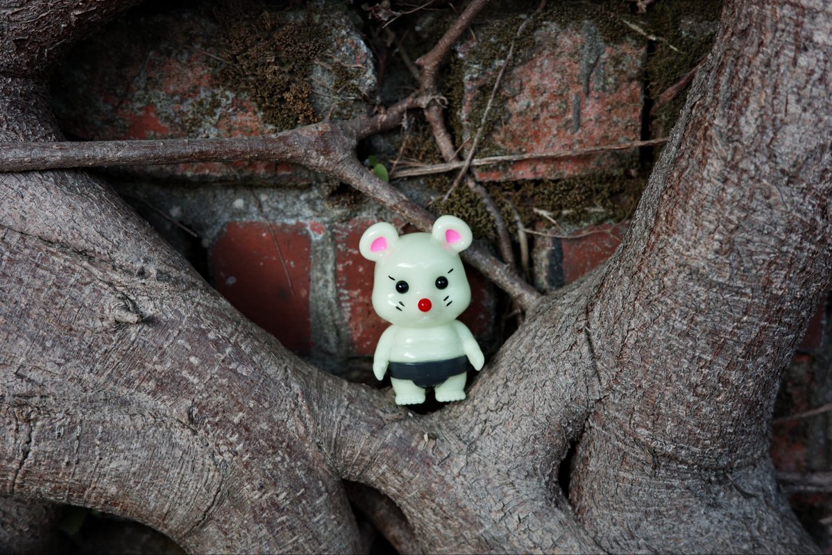 ぎぎのしん✨🐭🪾 @chuu_55_chuu #リアルヘッド #真頭玩具 #realhead