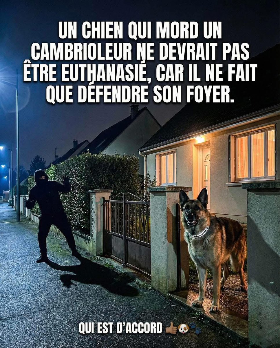 Le chien, mais aussi le maître. 
Personne n'a le droit d'entrer chez vous sans y avoir été invité un point c'est tout.
