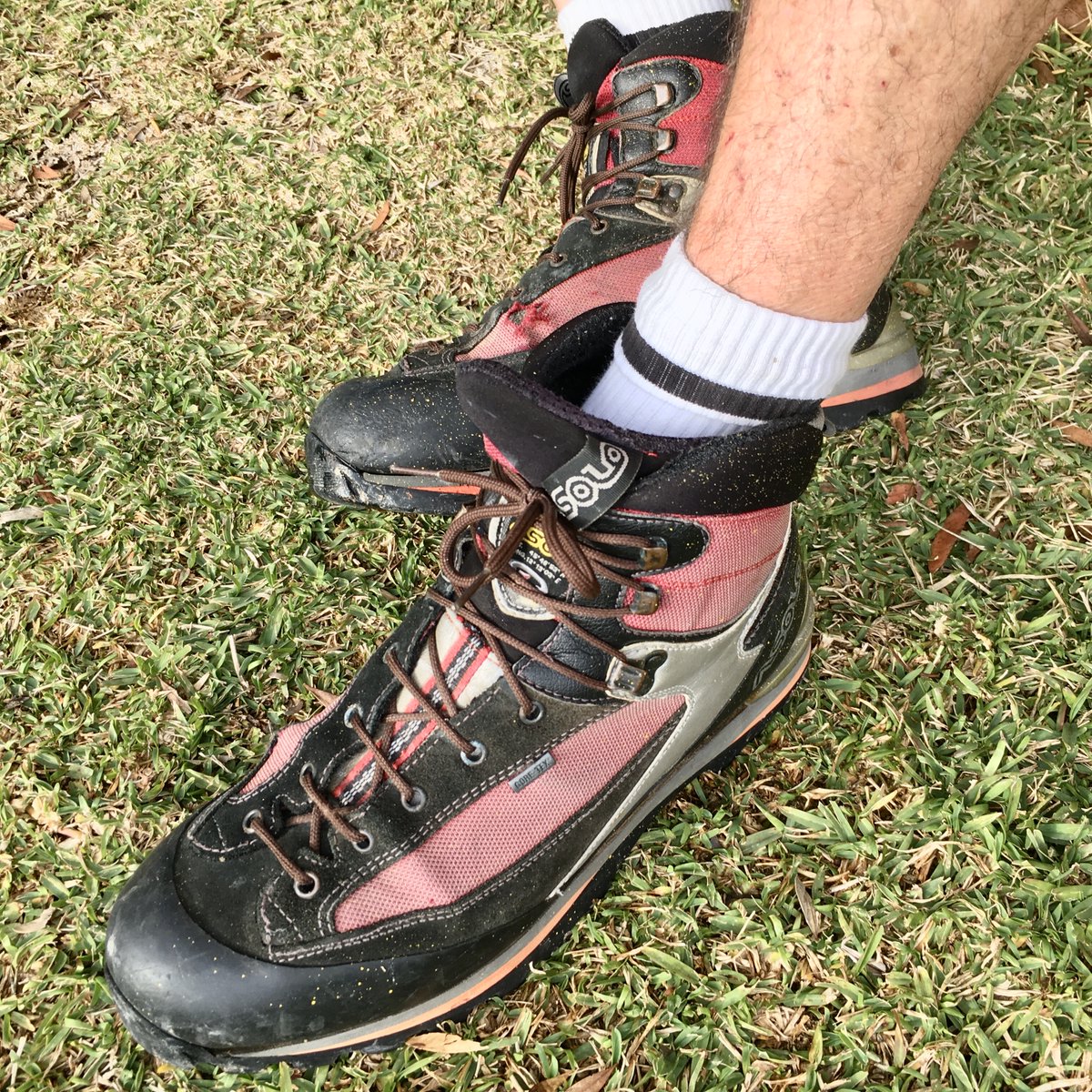 🇫🇷 Alpha Sneaker Sub (base) = ASS tweet media