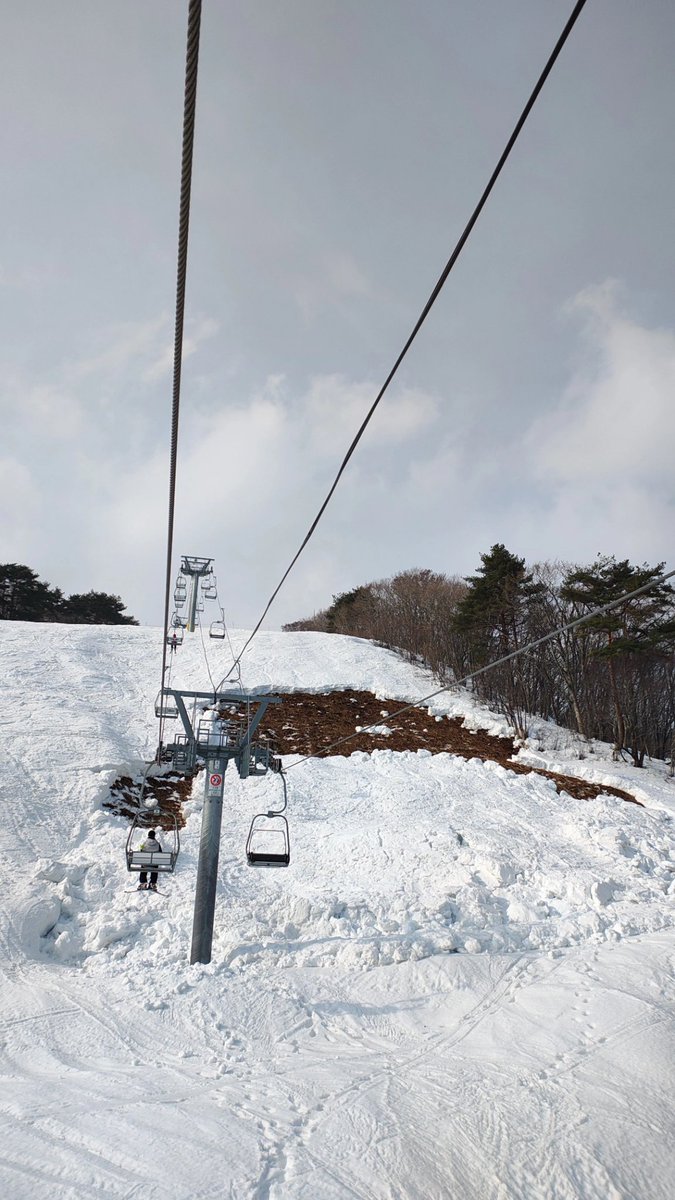 下の北のカモシカ tweet media