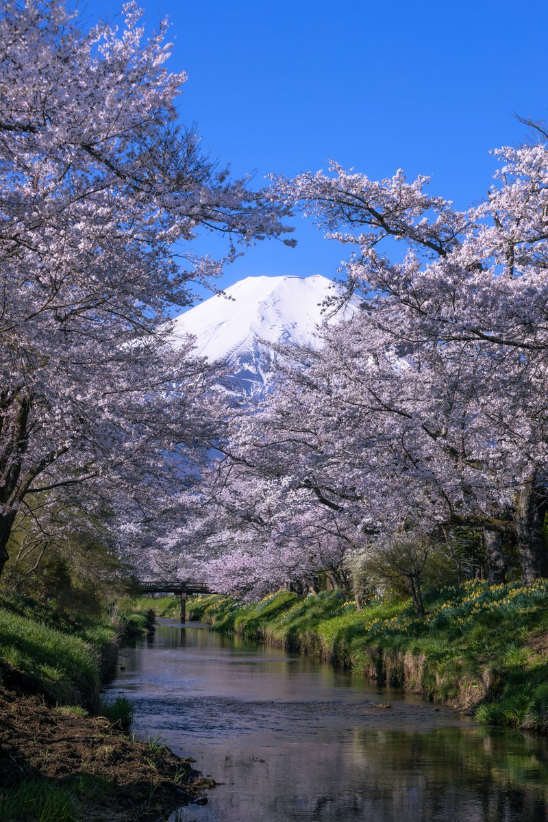 Ryogo Urata tweet media