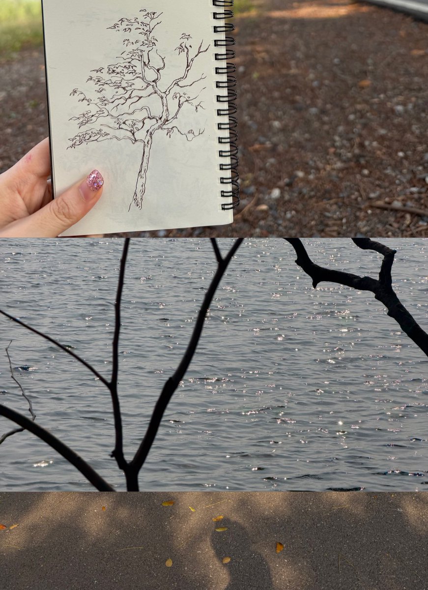 บึงหนองบอนรอบที่ 3 ครั้งนี้ไปปั่นจักรยานคนเดียวและนั่งเล่นวาดรูปนิดหน่อย เติมหมา(คนอื่น) 🌳🤍✳️ 2 ชม