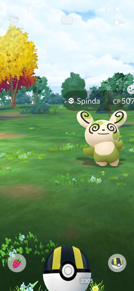 Gmax Meowth raid day 🤩

33 raids ( no remote ) 

2 shiny !!!! ( 1 male &amp; 1 female )

No hundro/ Shundo 😭

Thx everyone for joined my raids 🙏

So happy shiny spinda valentine before Meowth’s raids started 🤩