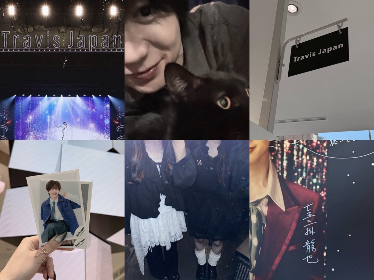 🦋.*˚ tweet media