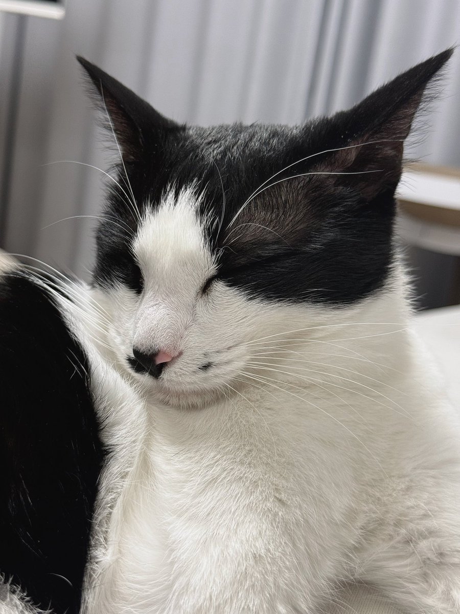 Zzzz..