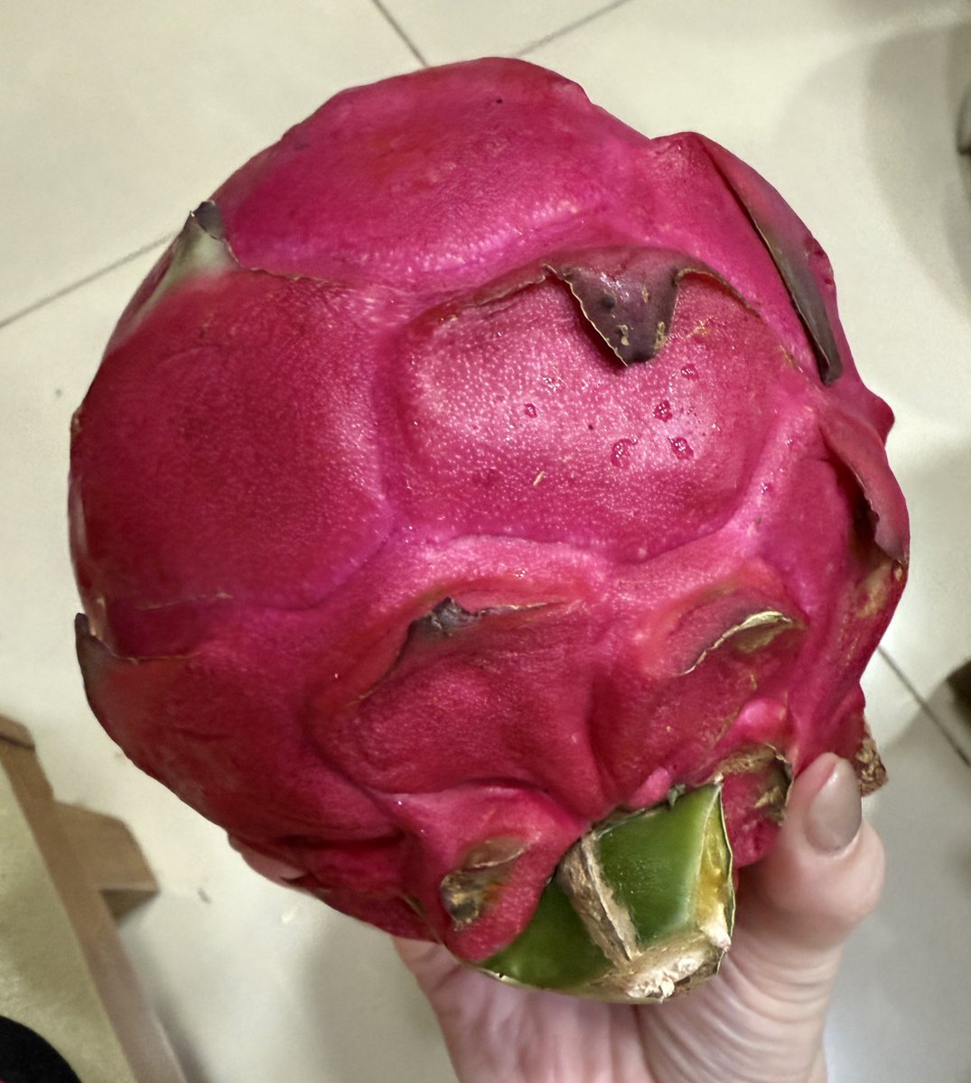 你跟我說這惡魔果實我都相信