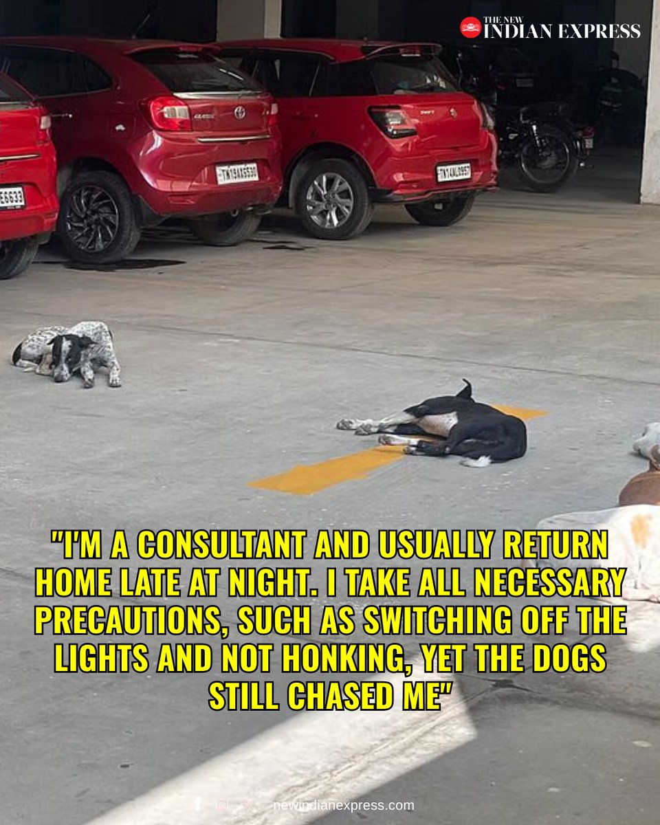 Nearly a month has passed since Rathish R was injured after being chased by a pack of stray dogs in the basement parking lot of an apartment block in Karapakkam, Chennai. He still shudders at the thought. Rathish underwent arthroscopic surgery on his right shoulder and is