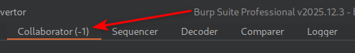 0X4L15's tweet photo. @Burp_Suite but how? https://t.co/lAVXcgajCx