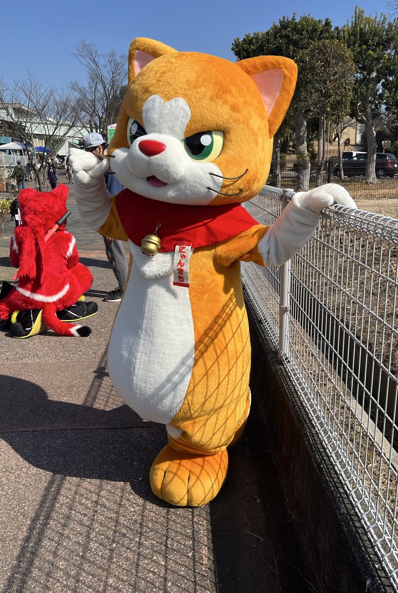 にゃん吉【公式】Nyankichi (@cat_nyankichi) / Posts / X