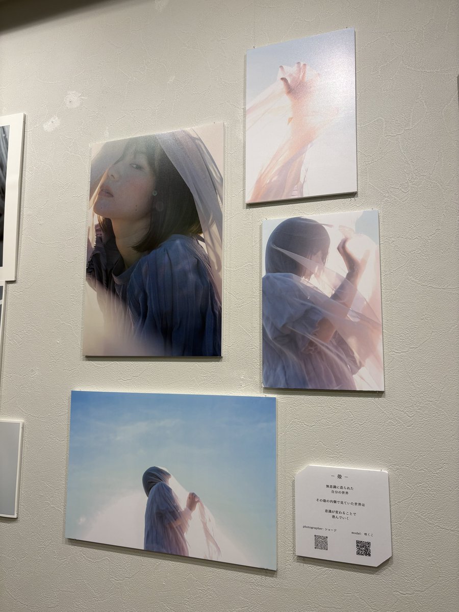 ショージ/出張撮影カメラマン tweet media