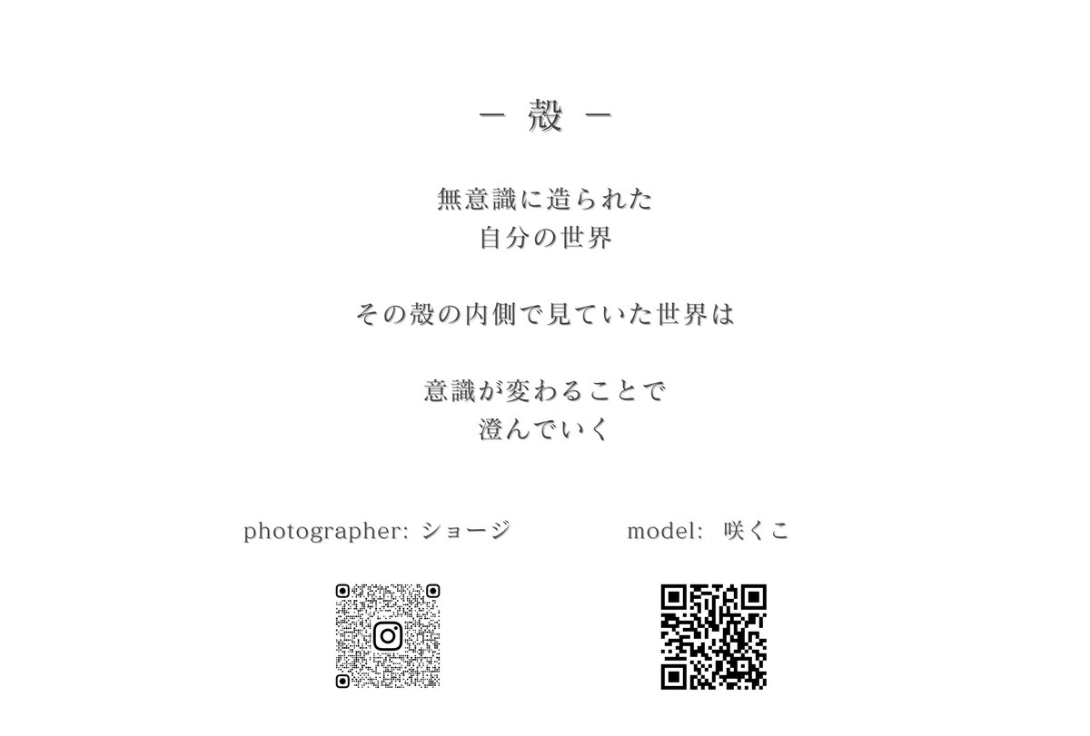 ショージ/出張撮影カメラマン tweet media