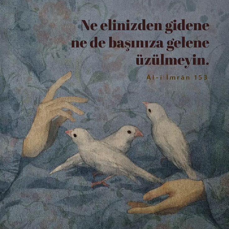Ne elinizden gidene ne de başınıza gelene üzülmeyin.

| al-i İmran,153