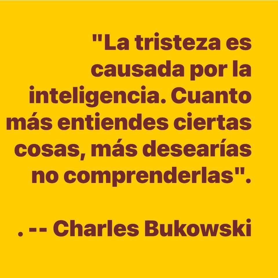 multiforoalicio tweet picture