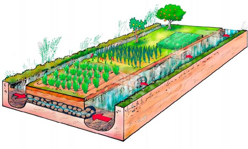 3/12 El destino final de ese viaje era Ses Feixes: un sistema de huertos entre Dalt Vila y Talamanca.

Cada parcela, alargada y estrecha, estaba flanqueada por canales. Bajo tierra, cada pocos metros, unos conductos llamados fibles conectaban los canales.