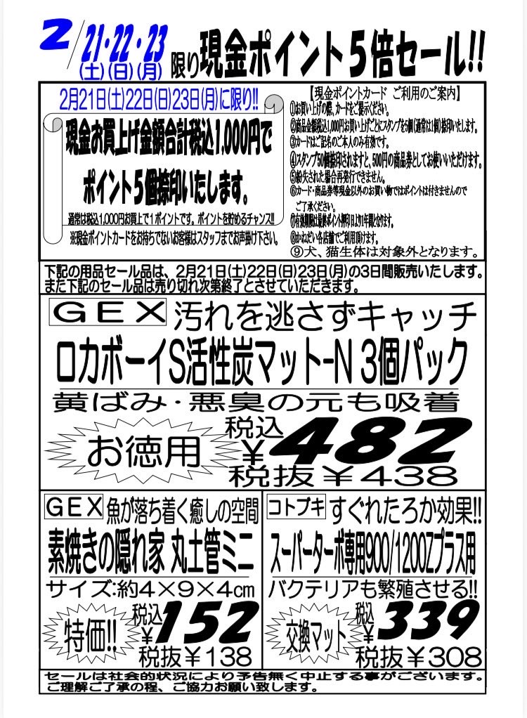 iFfV5665cmJTlY9's tweet photo. 次回セールのお知らせです。
生体は一家族2パックまでになります。
ご来店お待ちしております。 https://t.co/AowfJWFkRE