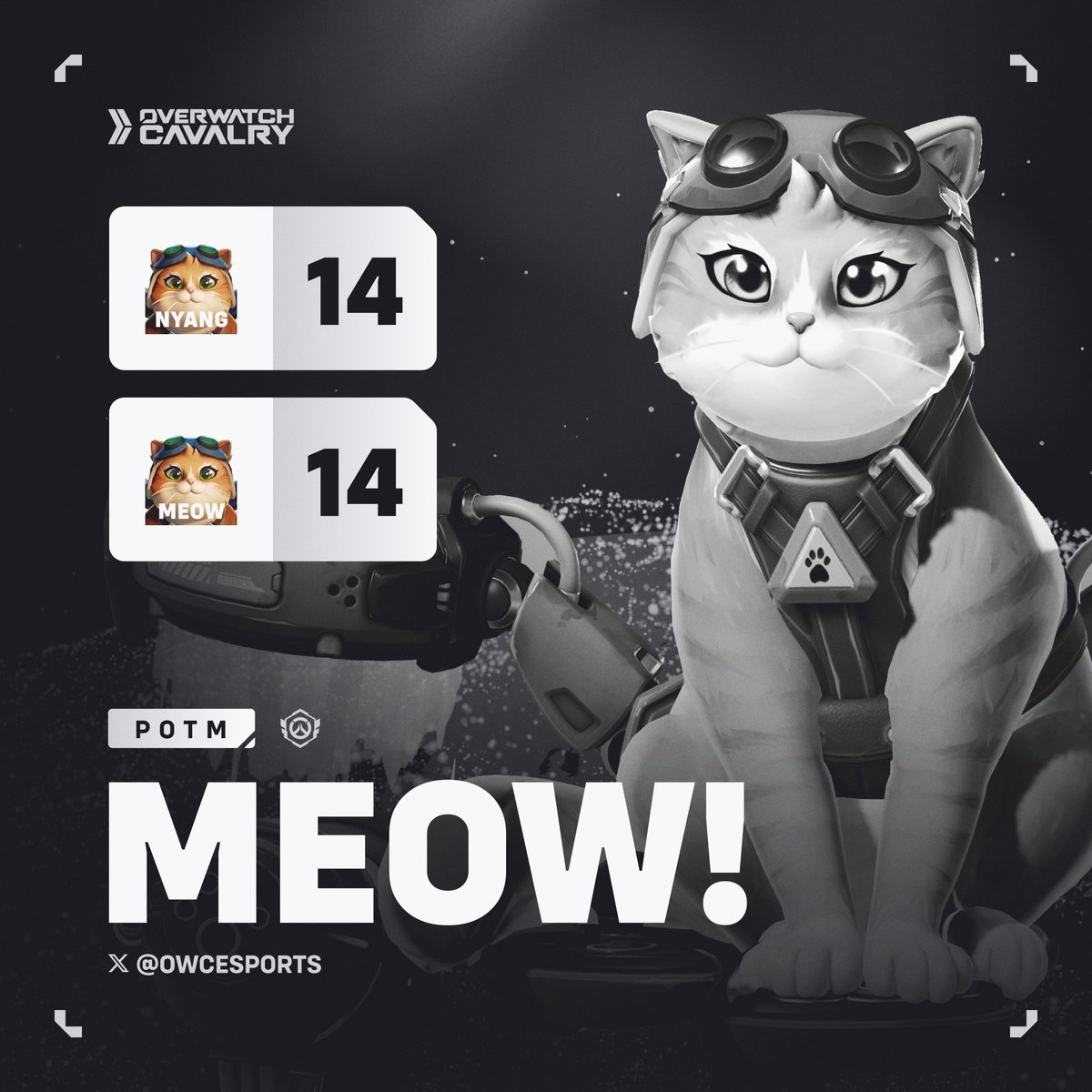 Cavalry Esports tweet media