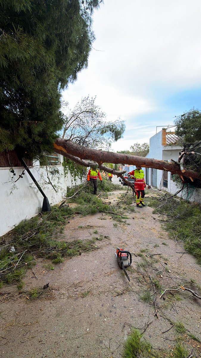 PCNaquera's tweet photo. 🚨 Continuamos atendiendo servicios relacionados con el fuerte temporal de viento #BorrascaOriana 🚧

#Emergencias #FMA #Meteo ⚠️ https://t.co/2JZ5Oq6KwI