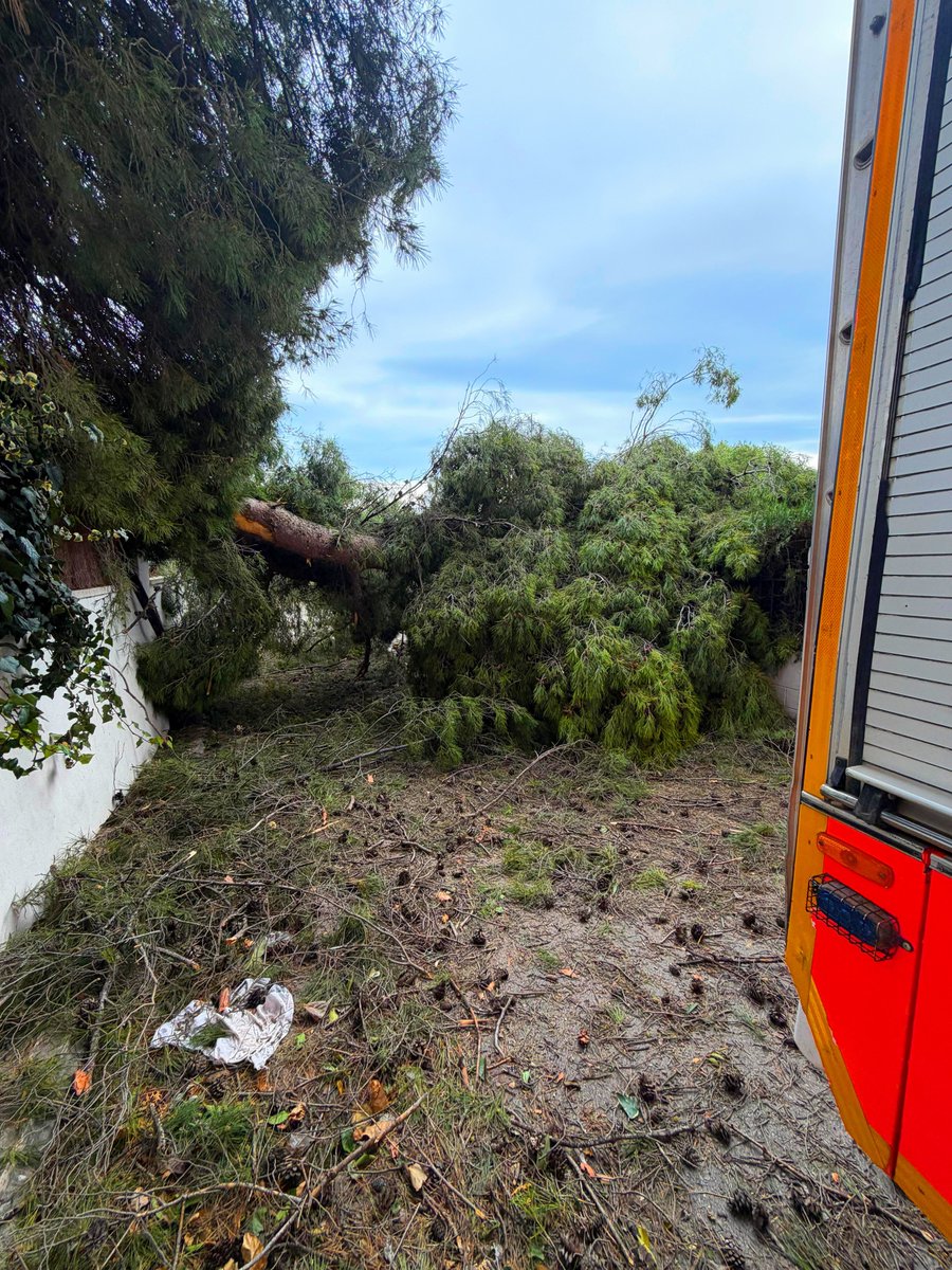 PCNaquera's tweet photo. 🚨 Continuamos atendiendo servicios relacionados con el fuerte temporal de viento #BorrascaOriana 🚧

#Emergencias #FMA #Meteo ⚠️ https://t.co/2JZ5Oq6KwI