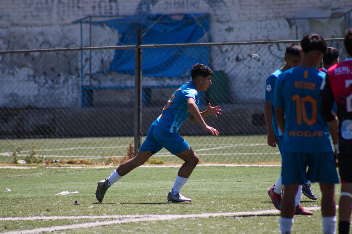 Oswaldo tweet media