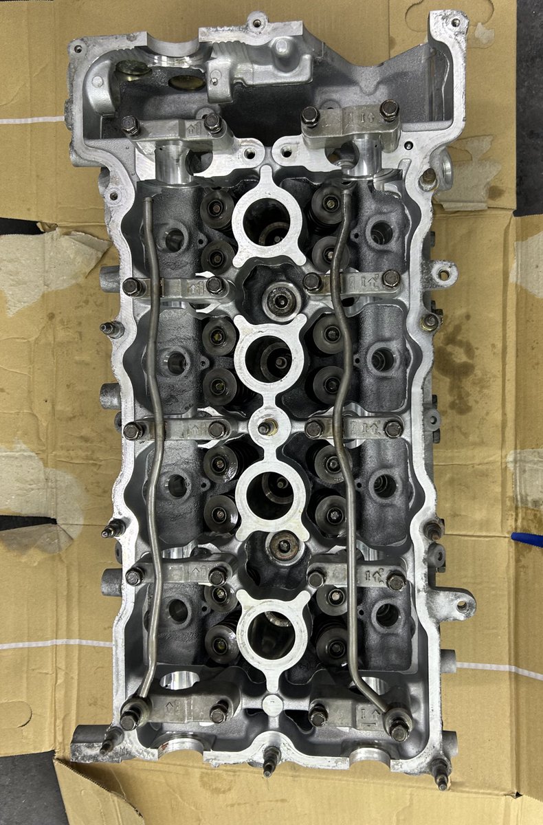 らいおん@Palm Crew tweet media