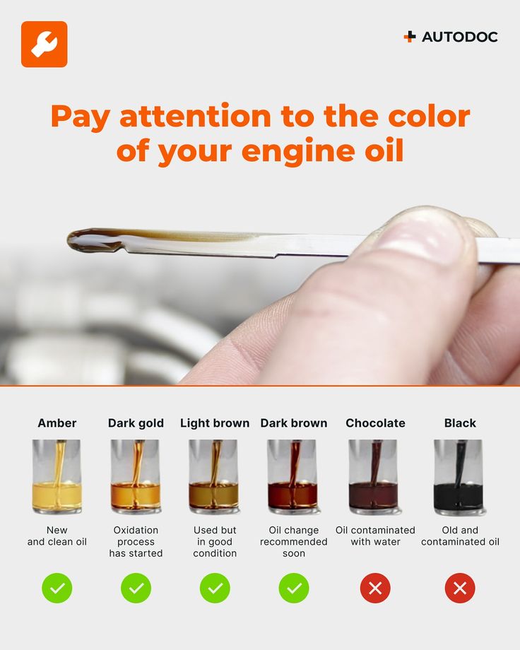 Earn Knowledge (@earnknowledgee) on Twitter photo 