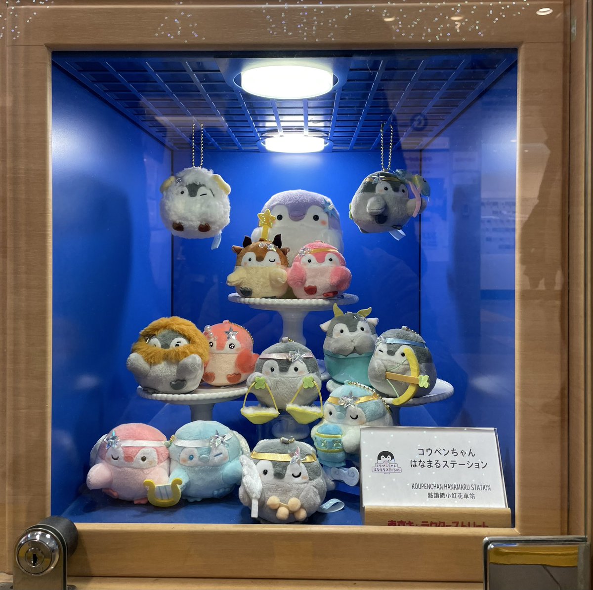 久しぶりのはなまるステーション 駅長さん🐧にご挨拶できました