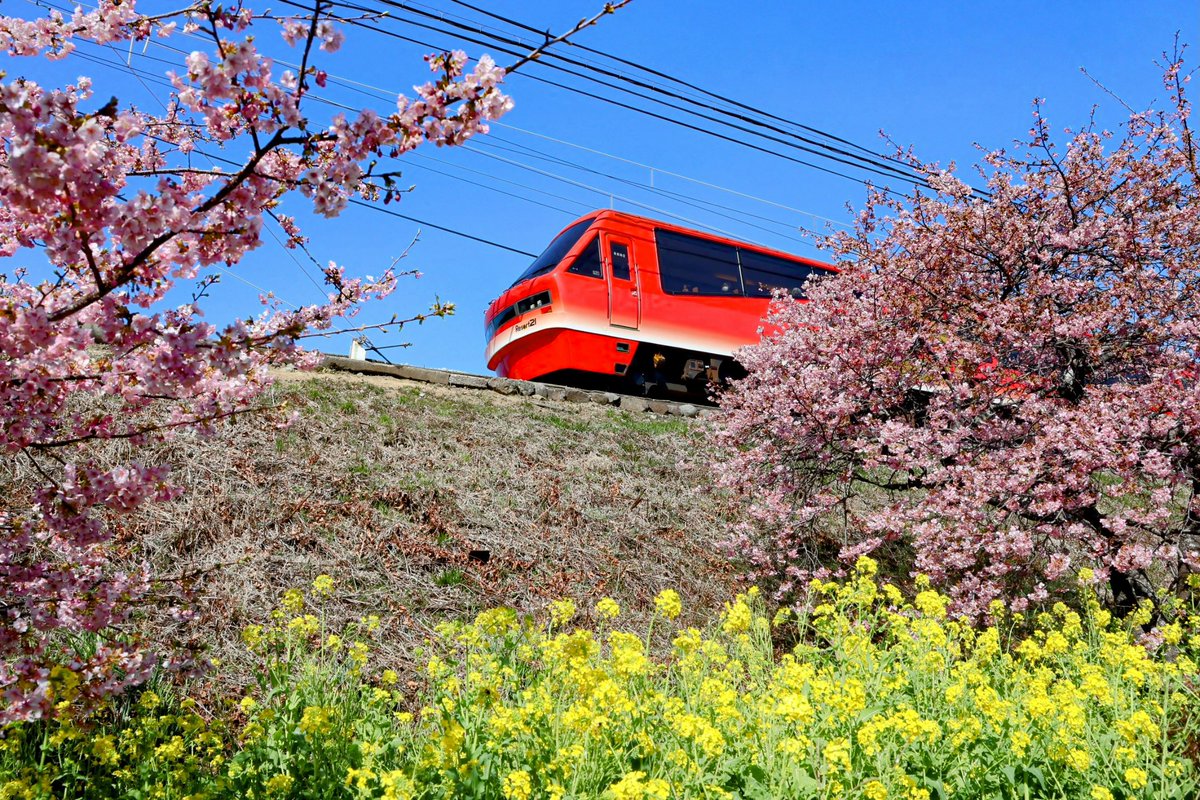芝交通局-芝学園交通研究部- tweet media