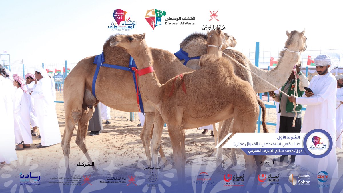 شتاء الوسطى tweet media