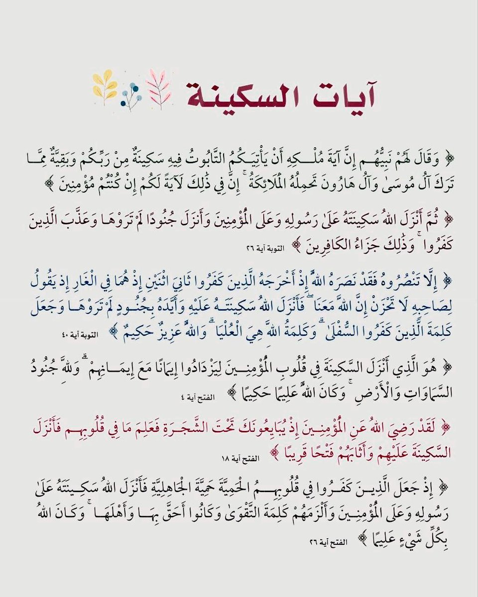 قال ابن القيم - رحمه ﷲ - :

"وكان شيخ الإسلام ابن تيمية إذا اشتدت عليه الأمور: قرأ آيات السكينة..!
وقد جربت أنا أيضًا قراءة هذه الآيات عند اضطراب القلب بما يرد عليه، فرأيت لها تأثيرًا عظيمًا في سكونه وطمأنينته!". [مدارج السالكين] .

آيات السكينة :