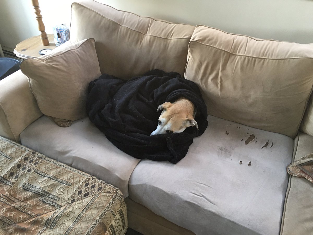 Psyclone tweet media