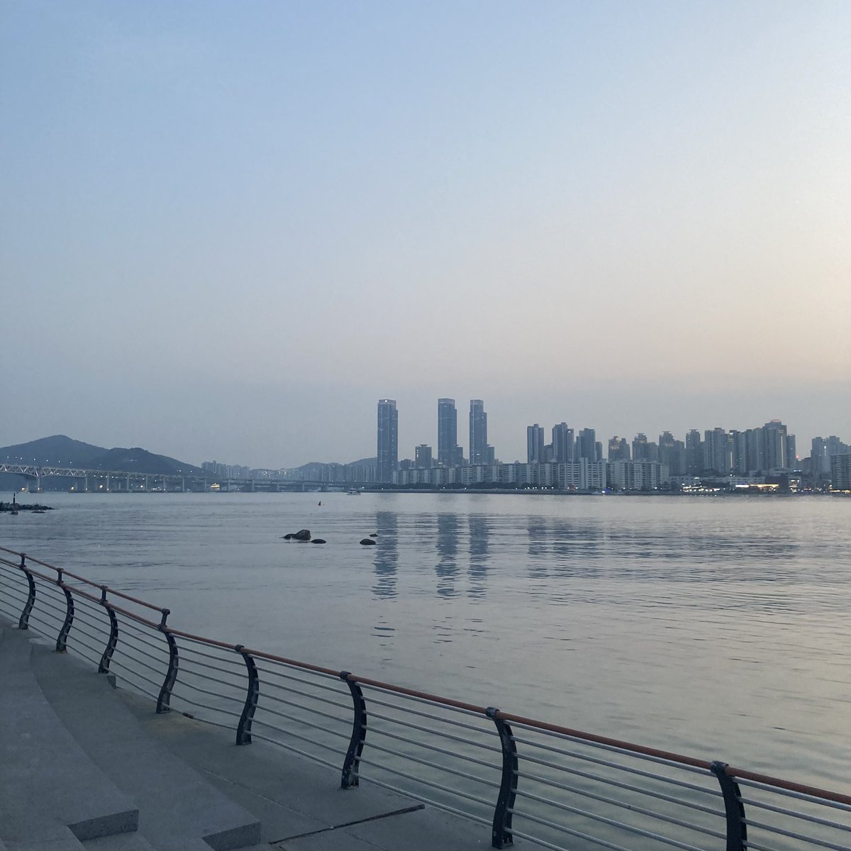 봄이 왔네🌸

#skyforseoham
#flowerforseoham