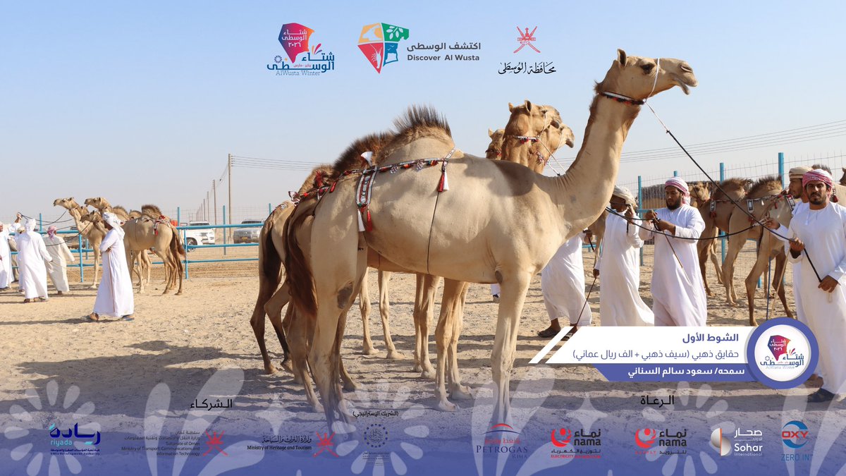 شتاء الوسطى tweet media