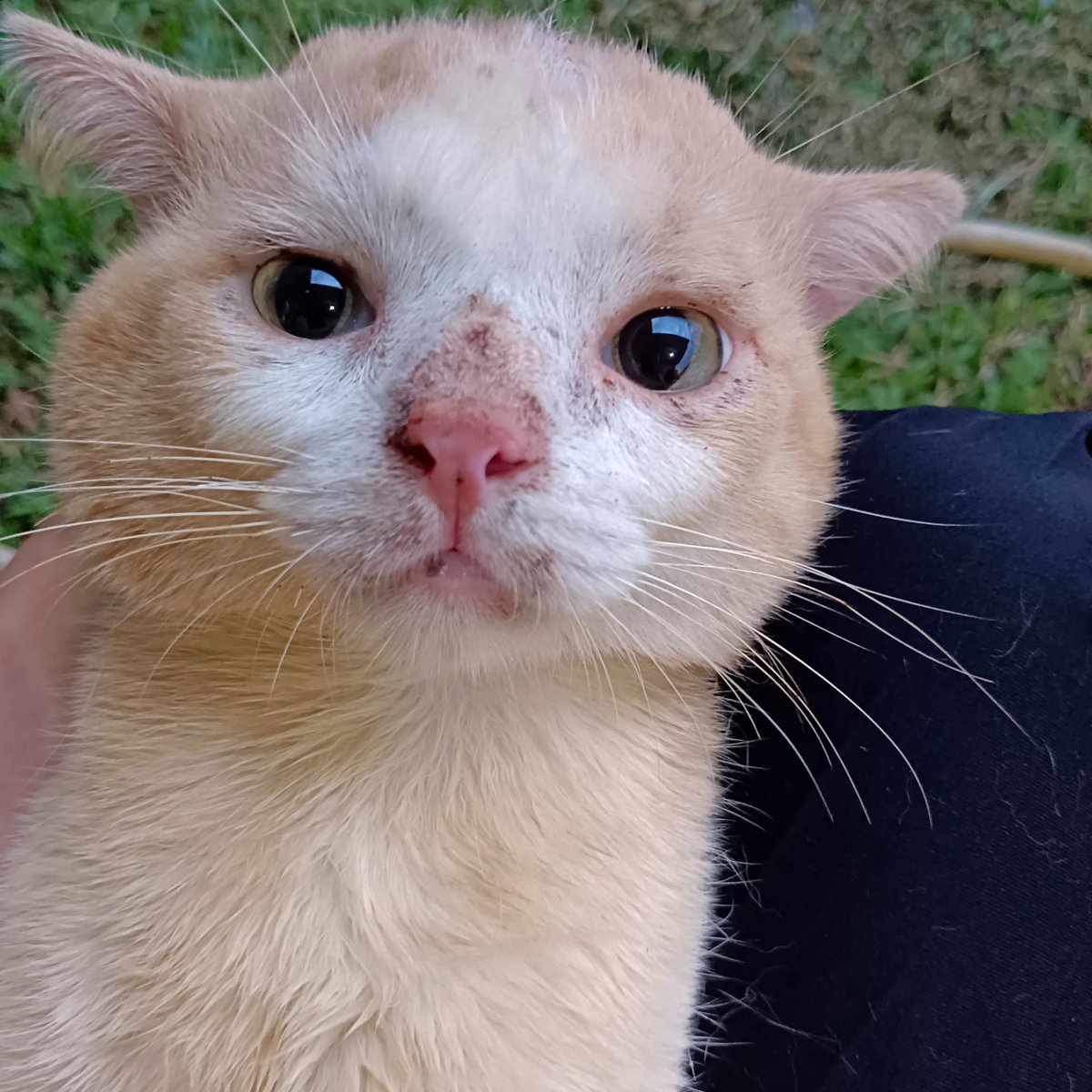 pepeng bison mirip musang, slamat malam mama terasayang <a href="/amndzahra/">Amanda</a> kukukukukukuk weng goweng goweng