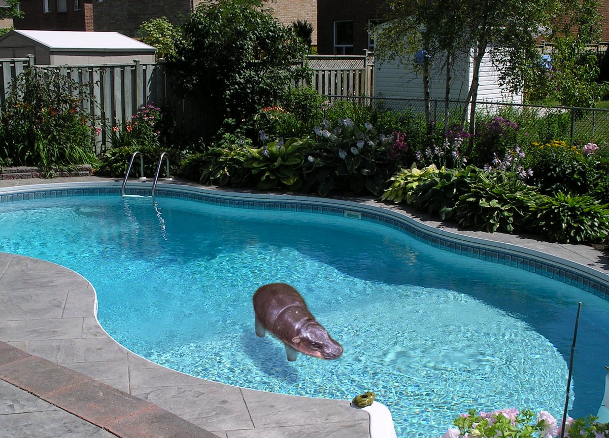 m🪿𓂂𓏸 (@breadisour) on Twitter photo 