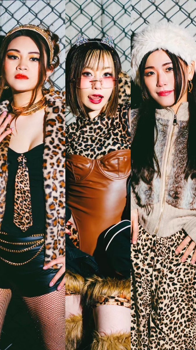 CRAZY CATZ 💫🐈‍⬛ tweet media