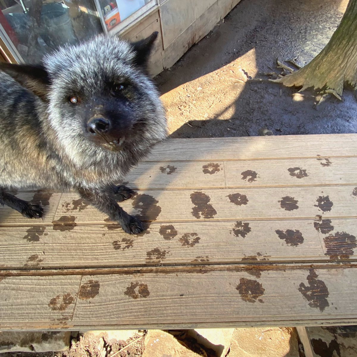 Tanji (タンジ) ／ 宮城県のどこでしょうか？クイズ写真もやってます tweet media