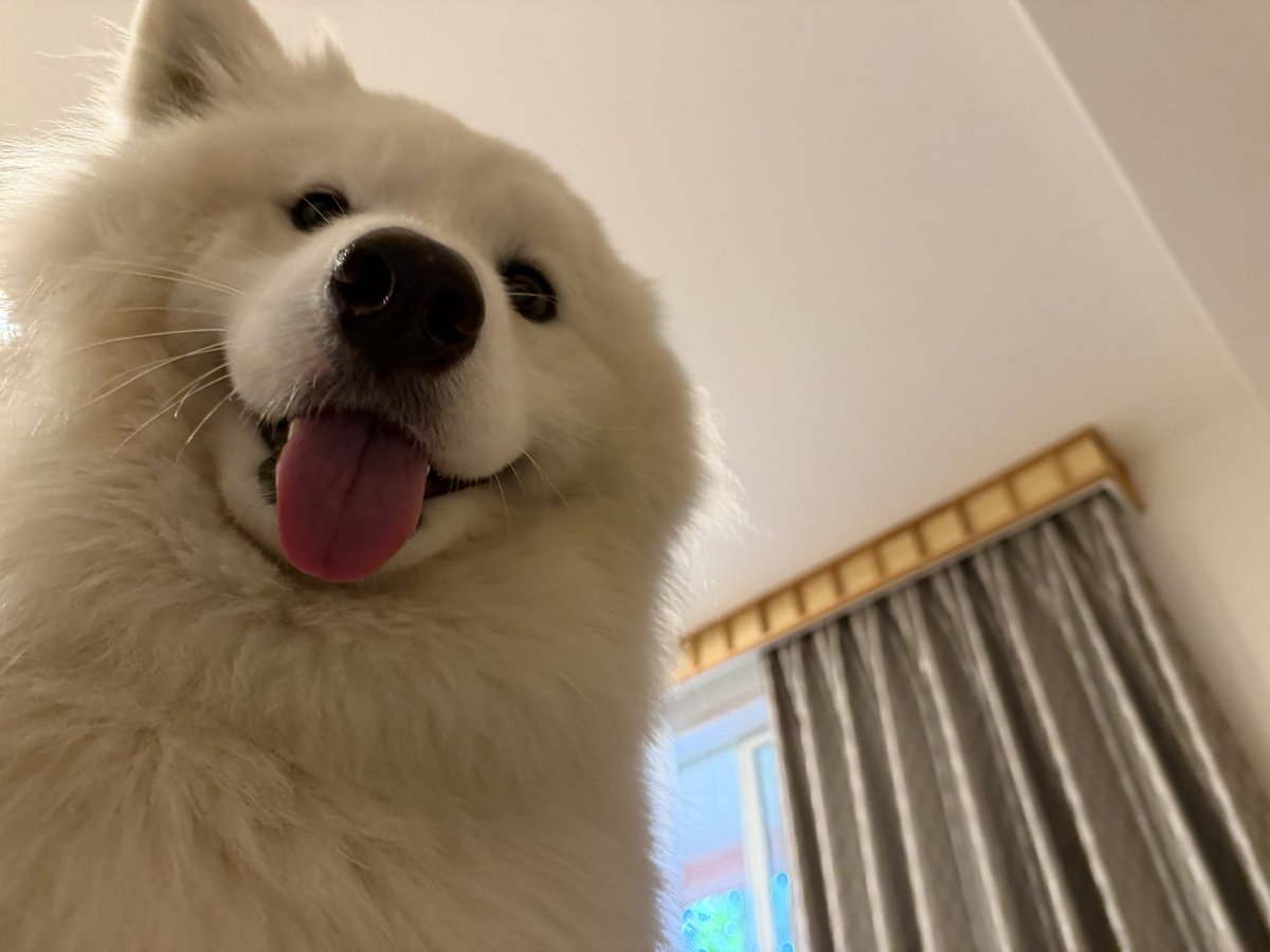 横顔が本当に綺麗