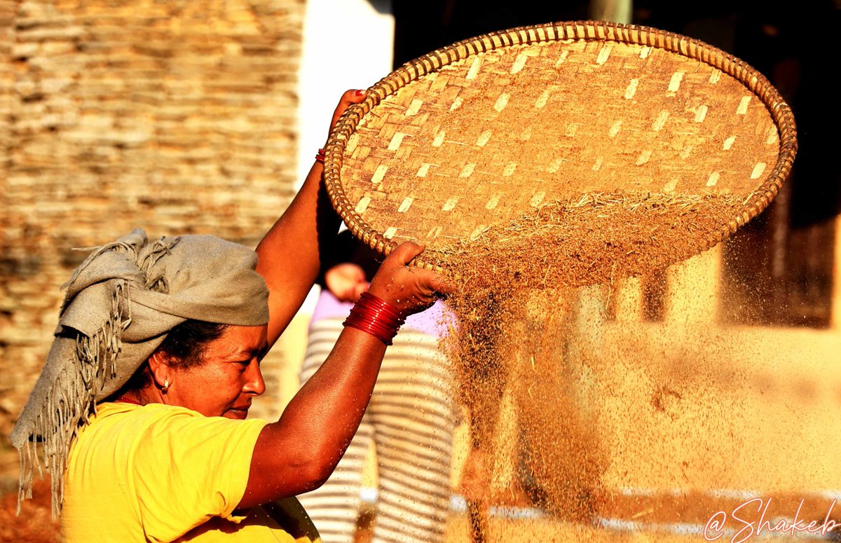 Shakeb Nabi tweet media