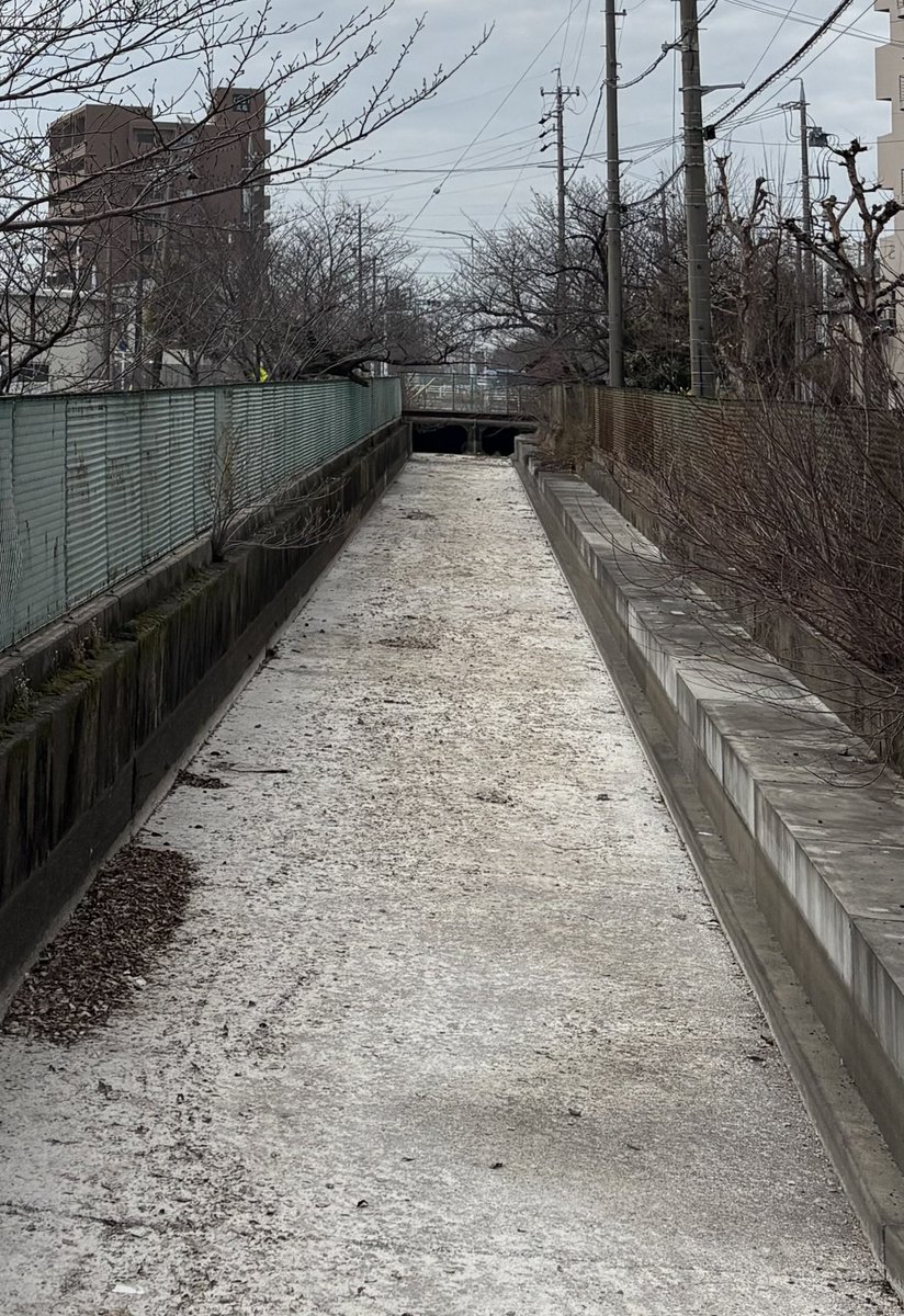 ここは確か用水路だったはず

カラカラすぎてこわい

水不足を実感しました(普段はまったく感じないけど)