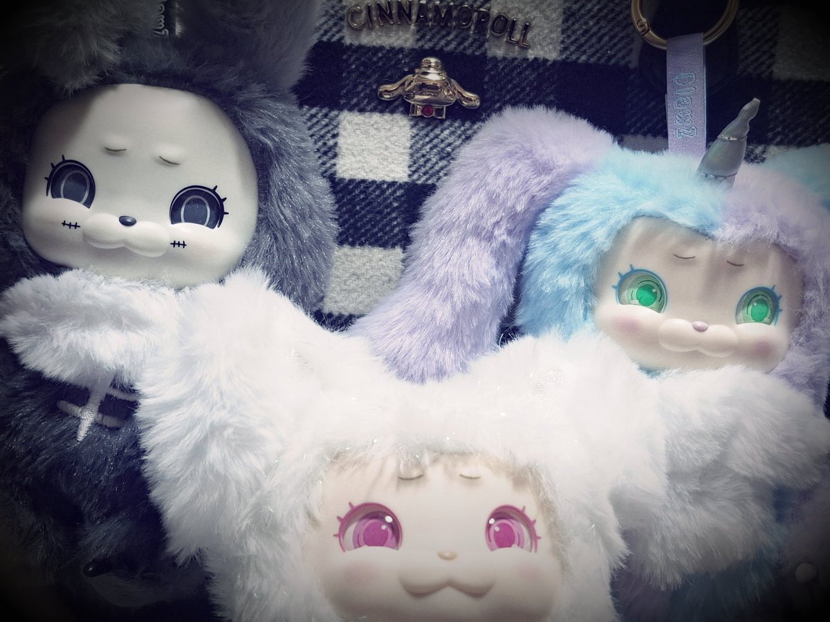 ねここ (@necoco47) / Posts / X