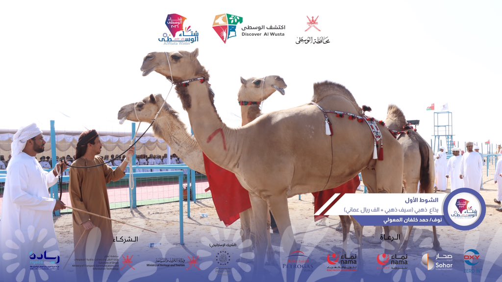 شتاء الوسطى tweet media
