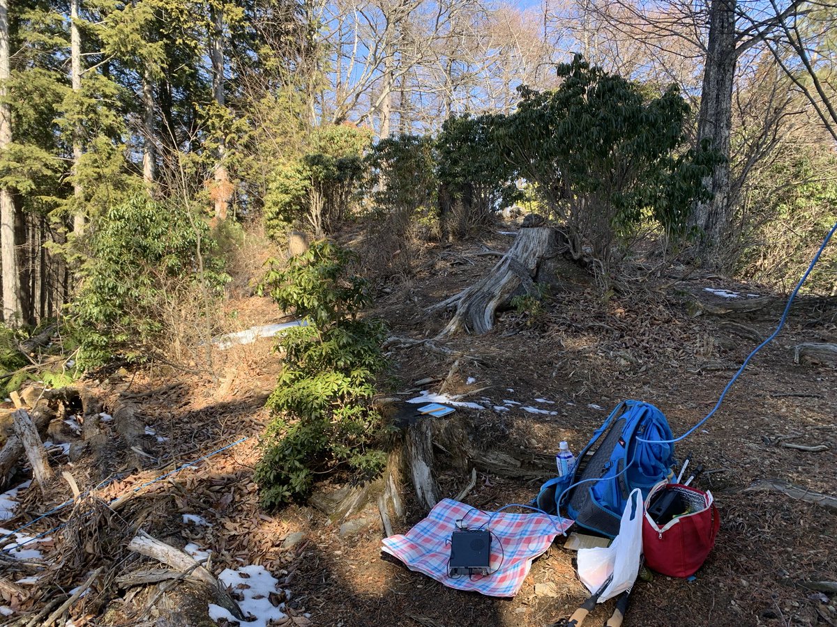 ウサギパンチ tweet media