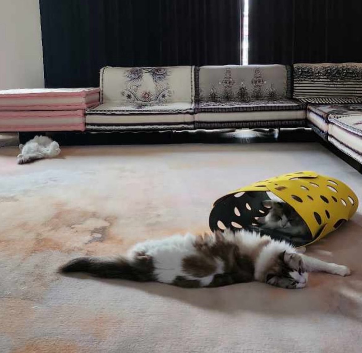 เจโน่: แจมินชอบอะไรเรียบ ๆ ไม่ชอบอะไรหรูหรา แต่ทำไมโซฟาเป็นงั้นคับ

โซฟาที่บ้านแจมิน:

555555555555555555555555 คือให้เลยอ้ะ หรูหรา เวอร์ ๆ ความเรียบง่ายเป็น 0 มีแค่โซฟาน้า ><